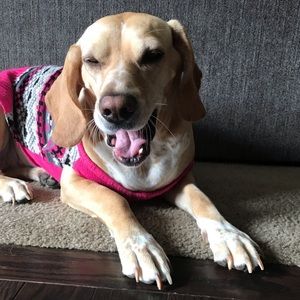 Meet your Posher, Kailee